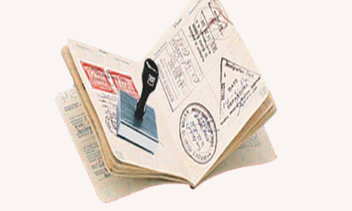 Visa Processing and Emigration Services